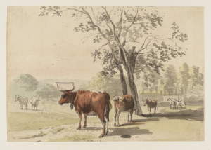 03 sandby cows 600