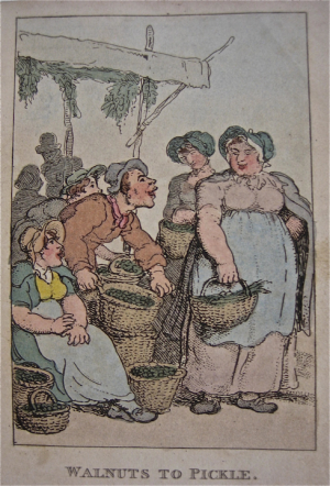 row walnutstopickle 720