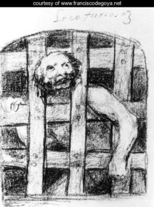 A Lunatic behind Bars A Lunatic behind Bars