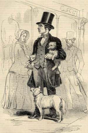 The Street Dog seller 600