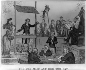 The old maid and her tom cat 600