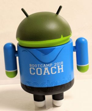 bootcamp2018 back 01  600