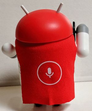 voicesearcher back 600